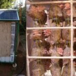 solar machine mushroom