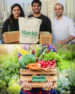 Pluckk hits