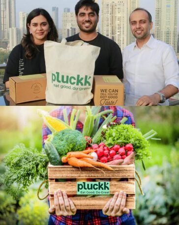 Pluckk hits