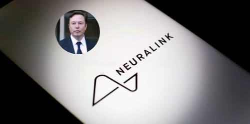 brain chip musk