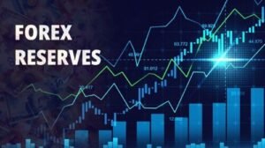 forex reserves jumps