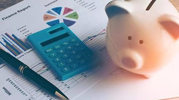 India profit margin