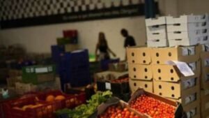 WPI inflation index