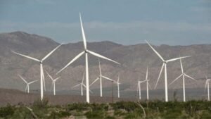 renewable energy
