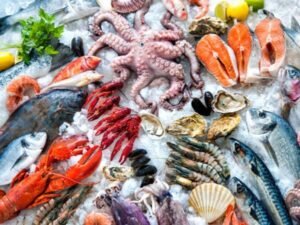 seafood exports