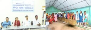 RSP mushroom cultivation training
