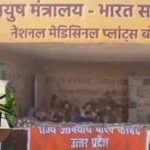 Ayush 8 lakh pilgrims