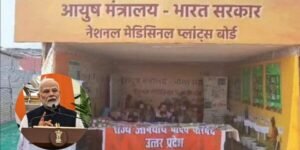Ayush 8 lakh pilgrims
