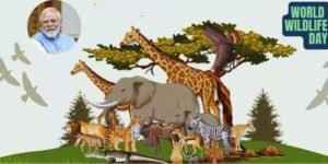 Modi World Wildlife Day
