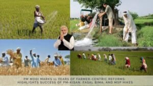 11 years farmer centric reforms