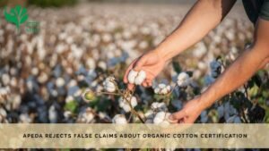 APEDA-Organic-Cotton-Certification