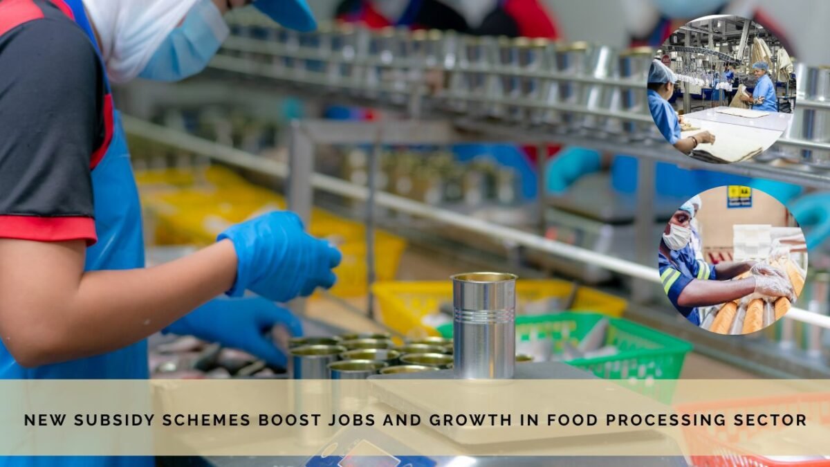 New-Subsidy-Schemes-Boost-Jobs and-Growth