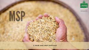 e-NAM-and MSP-Support